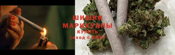 сатива Краснослободск