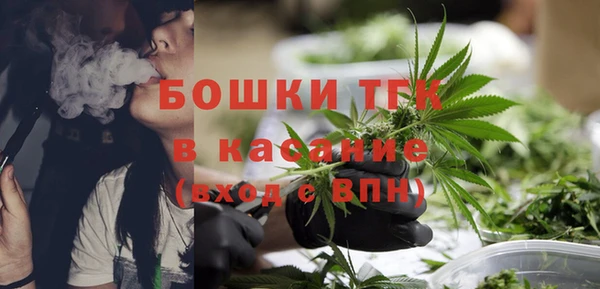 сатива Краснослободск
