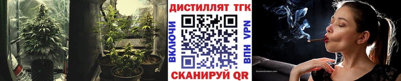 Купить закладки  Сарапул  Дистиллят ТГК концентрат 